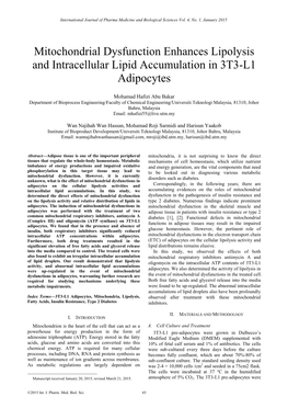 Mitochondrial Dysfunction Enhances Lipolysis and Intracellular Lipid Accumulation in 3T3-L1 Adipocytes