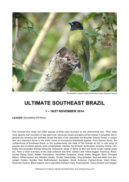 Ultimate Southeast Brazil 2014