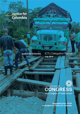 ICTU Delegation Report July 2014