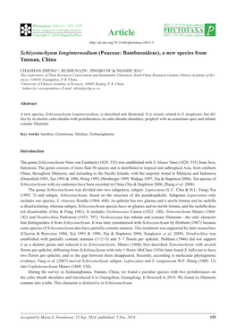 Schizostachyum Longinternodium (Poaceae: Bambusoideae), a New Species from Yunnan, China