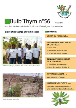 Bulb'thym N°56