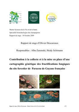 Rapport De Stage D'olivier Descazeaux Responsables