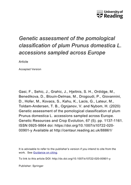 Genetic Assessment of the Pomological Classification of Plum Prunus Domestica L