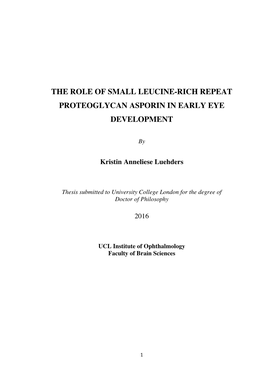 The Role of Small Leucine-Rich Repeat Proteoglycan Asporin in Early Eye Development