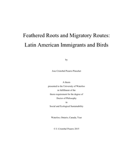 Feathered Roots and Migratory Routes: Latin American Immigrants