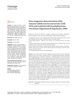 First Cytogenetic Characterization of the Amazon Catfish Leiarius Marmoratus(Gill, 1870)