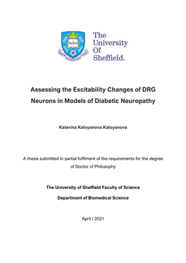 Assessing the Excitability Changes of DRG Neurons in Models of Diabetic Neuropathy
