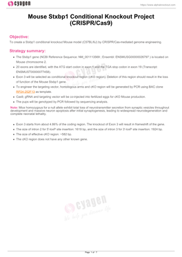 Mouse Stxbp1 Conditional Knockout Project (CRISPR/Cas9)