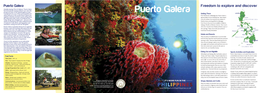 Puerto Galera Freedom to Explore and Di Scover