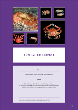 Phylum: Arthropoda