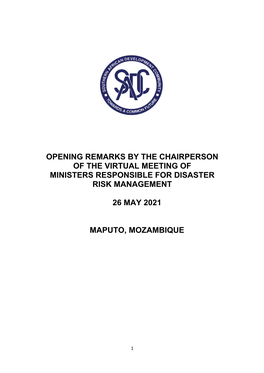 Opening Remarks by the Chairperson of the Virtual Meeting of Ministers Responsible for Disaster Risk Management