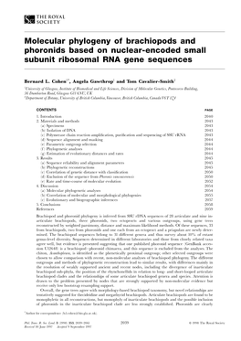 Molecular Phylogeny of Brachiopods and Phoronids Based on Nuclear-Encoded Small Subunit Ribosomal RNA Gene Sequences
