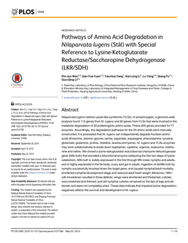 Pathways of Amino Acid Degradation in Nilaparvata Lugens (Stål) with Special Reference to Lysine-Ketoglutarate Reductase/Saccharopine Dehydrogenase (LKR/SDH)