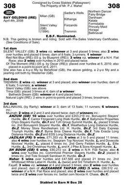 And Placed; Dam of ALEXANDER TAIPAN (IRE) (5 Wins, £86,512 Viz