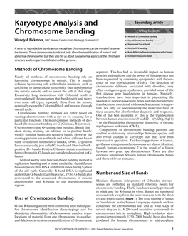 Karyotype Analysis and Chromosome Banding