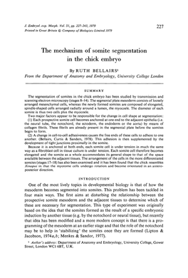 The Mechanism of Somite Segmentation in the Chick Embryo