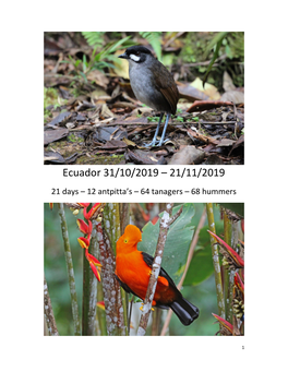 Ecuador 31/10/2019 – 21/11/2019 21 Days – 12 Antpitta’S – 64 Tanagers – 68 Hummers