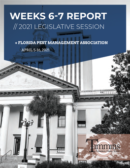 Weeks 6-7 Report // 2021 Legislative Session