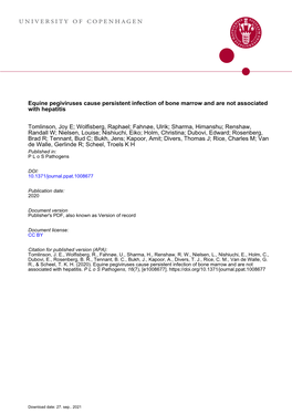 Equine Pegiviruses Cause Persistent Infection of Bone Marrow and Are Not Associated with Hepatitis