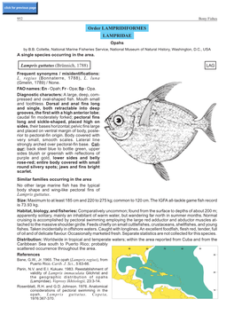 Order LAMPRIDIFORMES LAMPRIDAE Lampris Guttatus (Brünnich, 1788) Lampris Guttatus