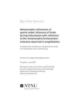 Metamorphic Refinement of Quartz Under Influence of Fluids During Exhumation with Reference to the Metamorphic/Metasomatic Evolution Observed in Amphibolites