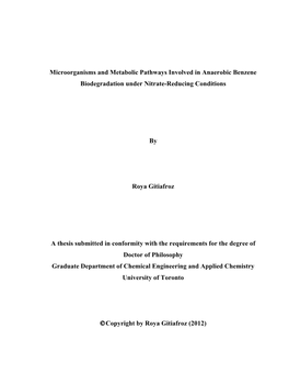 Thesis Abstarctand Table of Contents, Jan 8, 2012