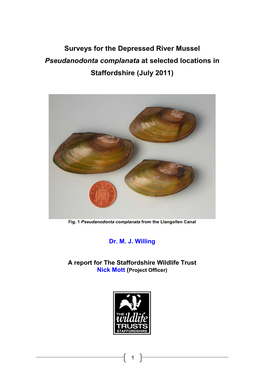 Surveys for the Depressed River Mussel Pseudanodonta Complanata at Selected Locations in Staffordshire (July 2011)