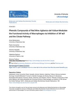 Phenolic Compounds of Red Wine Aglianico Del Vulture Modulate the Functional Activity of Macrophages Via Inhibition of NF-Κb and the Citrate Pathway