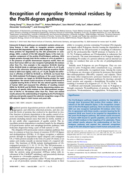 Recognition of Nonproline N-Terminal Residues by the Pro/N-Degron Pathway