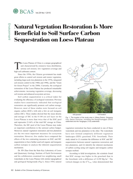 Natural Vegetation Restoration Is More Beneficial to Soil Surface Carbon Sequestration on Loess Plateau