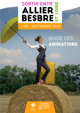 Guide Des Animations