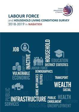 LABOUR FORCE and HOUSEHOLD LIVING CONDITIONS SURVEY 2018-2019 in NABATIEH