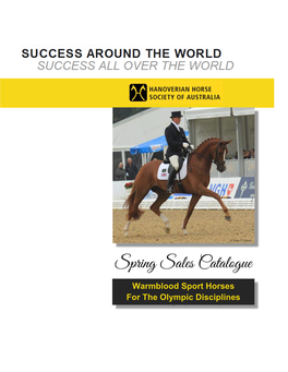 Warmblood Sport Horses for the Olympic Disciplines