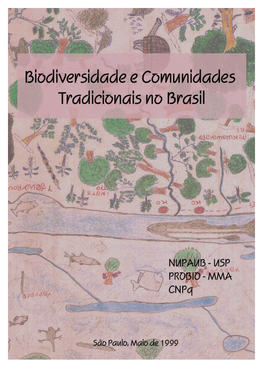 Os Saberes Tradicionais E Biodiversidade No Brasil
