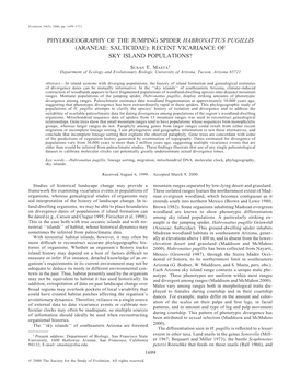 Araneae: Salticidae): Recent Vicariance of Sky Island Populations?