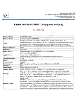 Rabbit Anti-FAHD1/FITC Conjugated Antibody-SL13132R-FITC
