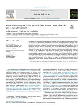 Alternative Mating Tactics in a Cannibalistic Widow Spider: Do Males Prefer the Safer Option?