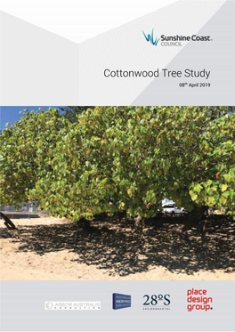 Cottonwood Tree Study 08Th April 2019