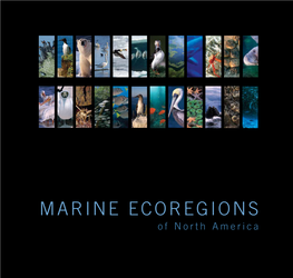 Marine Ecoregions of North America