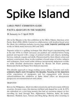 LARGE PRINT EXHIBITION GUIDE PACITA ABAD LIFE in the MARGINS 18 January to 5 April 2020