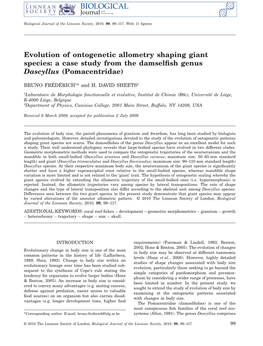 Evolution of Ontogenetic Allometry Shaping Giant Species: a Case Study from the Damselfish Genus Dascyllus (Pomacentridae)