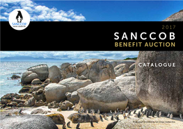 Sanccob Benefit Auction