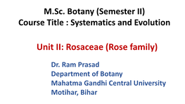 Rosaceae (Rose Family)