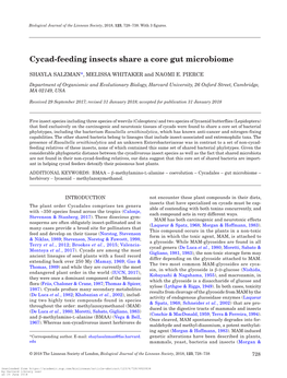 Cycad-Feeding Insects Share a Core Gut Microbiome