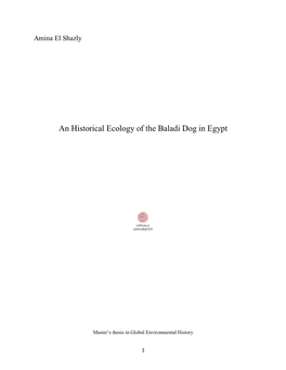 An Historical Ecology of the Baladi Dog in Egypt