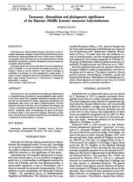 Taxonomy, Dimorphism and Phylogenetic Significance of the Bajocian (Middle Jurassic) Ammonite Labyrinthoceras