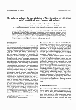 Morphological and Molecular Characterization of Ulva Chaugulii Sp