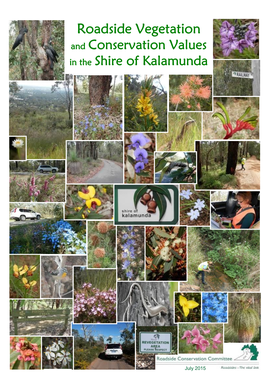 Shire of Kalamunda Technical Report 4.9 MB