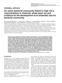 An Active Bacterial Community Linked to High Chl-A Concentrations In