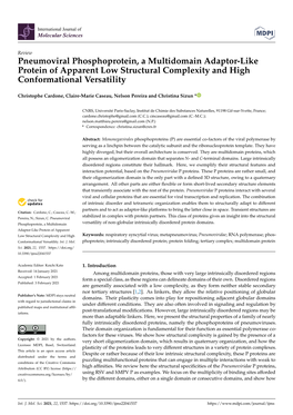 Pneumoviral Phosphoprotein, a Multidomain Adaptor-Like Protein of Apparent Low Structural Complexity and High Conformational Versatility